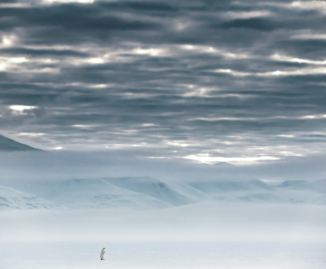 The North Remembers-Photographic Print-David Yarrow-Sorrel Sky Gallery