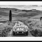 The Prancing Horse-Photographic Print-David Yarrow-Sorrel Sky Gallery