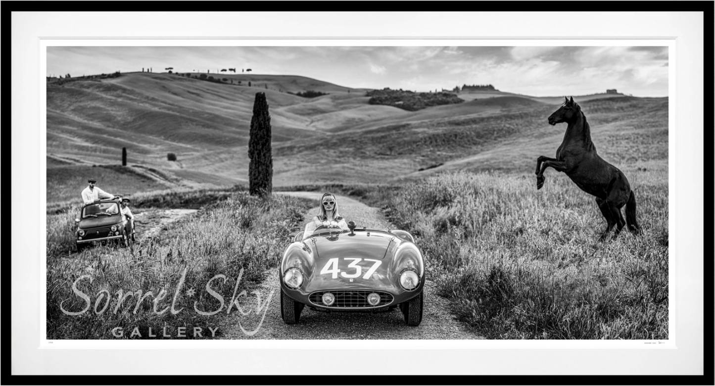 The Prancing Horse-Photographic Print-David Yarrow-Sorrel Sky Gallery