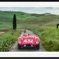 The Prancing Horse (Colour)-Photographic Print-David Yarrow-Sorrel Sky Gallery