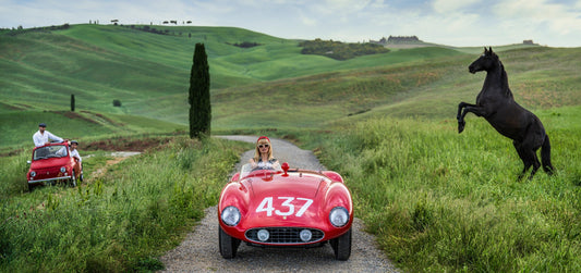 The Prancing Horse (Colour)-Photographic Print-David Yarrow-Sorrel Sky Gallery