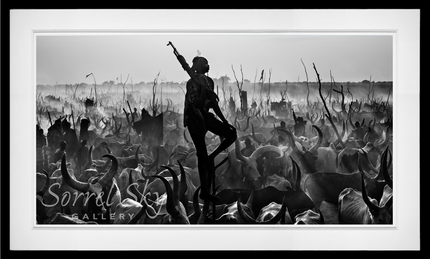 The Proud Night Watchman-Photographic Print-David Yarrow-Sorrel Sky Gallery