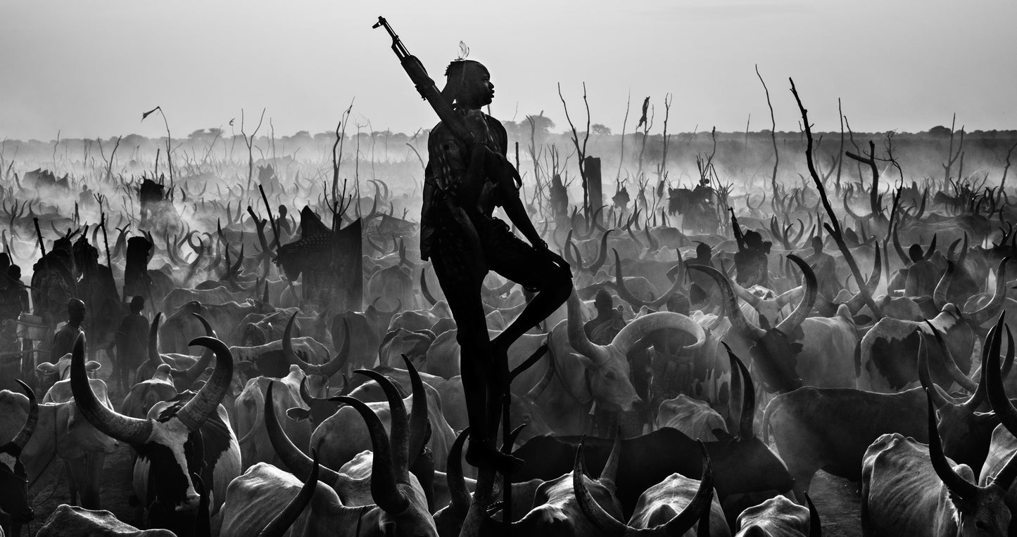 The Proud Night Watchman-Photographic Print-David Yarrow-Sorrel Sky Gallery