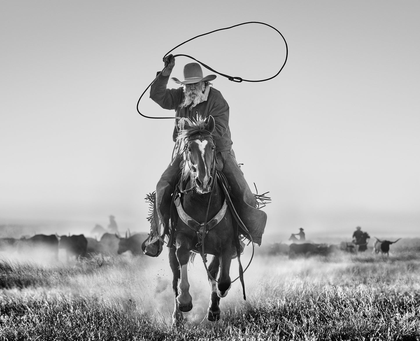 The Rancher