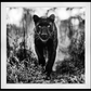 The Superhero-Photographic Print-David Yarrow-Sorrel Sky Gallery