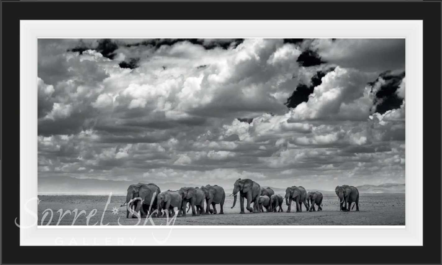 The Waterboys-Photographic Print-David Yarrow-Sorrel Sky Gallery