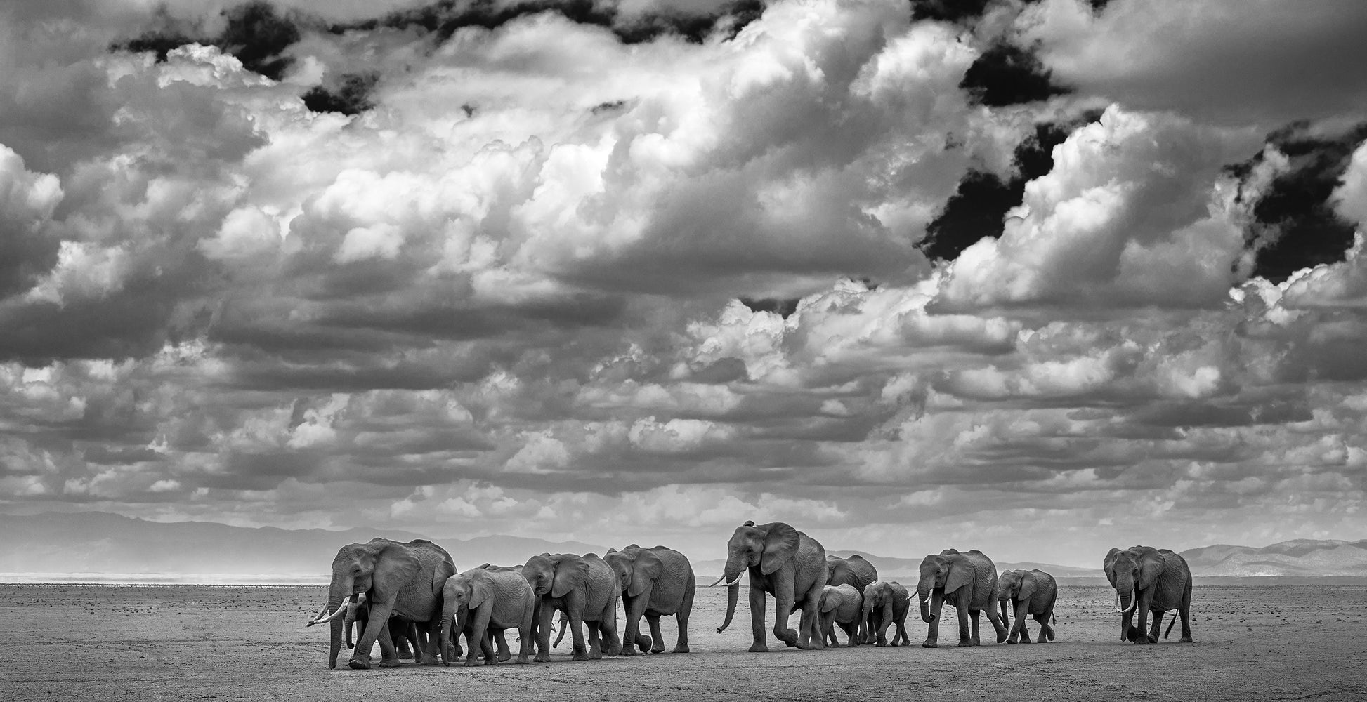 David Yarrow