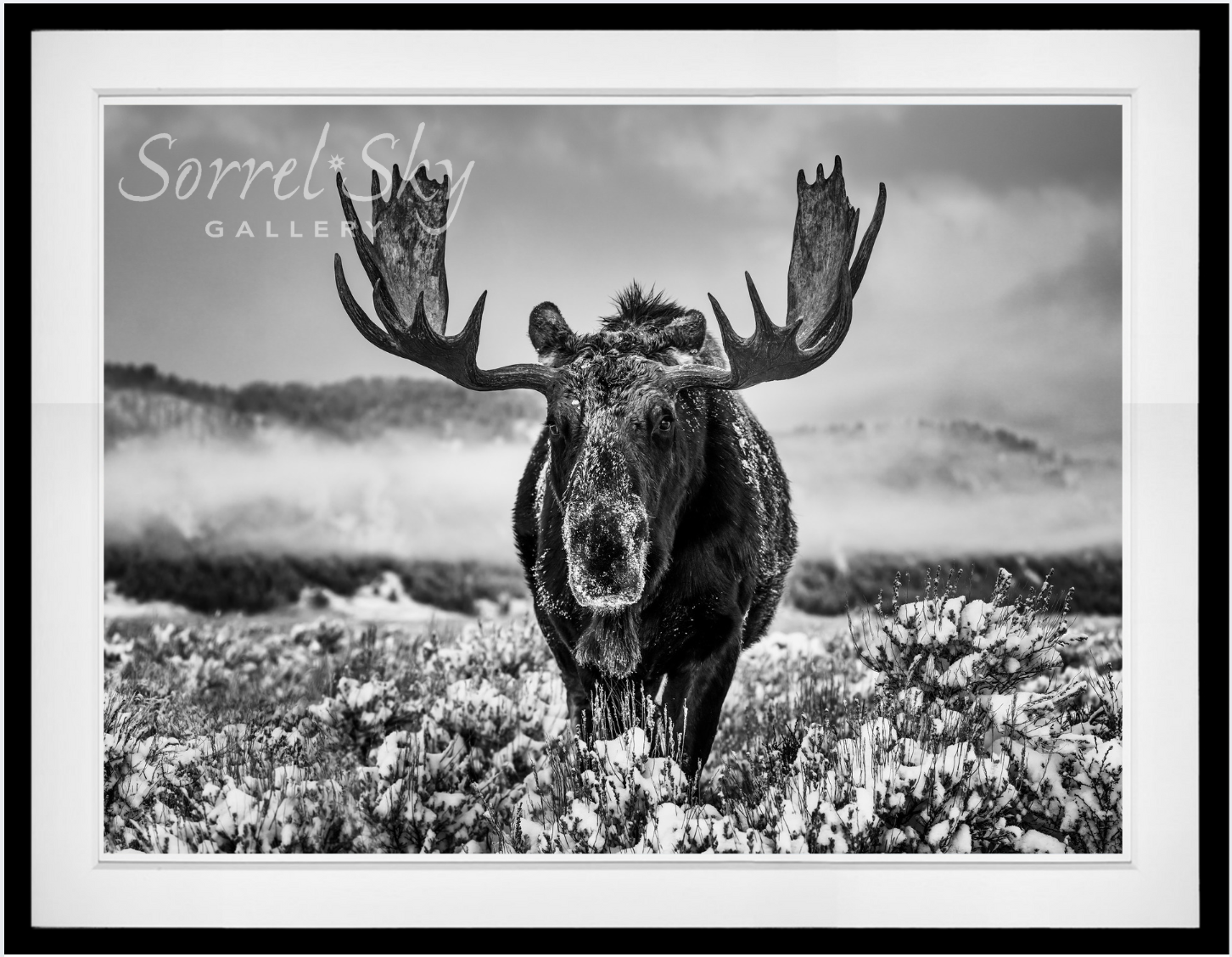 The Winter Season-Photographic Print-David Yarrow-Sorrel Sky Gallery