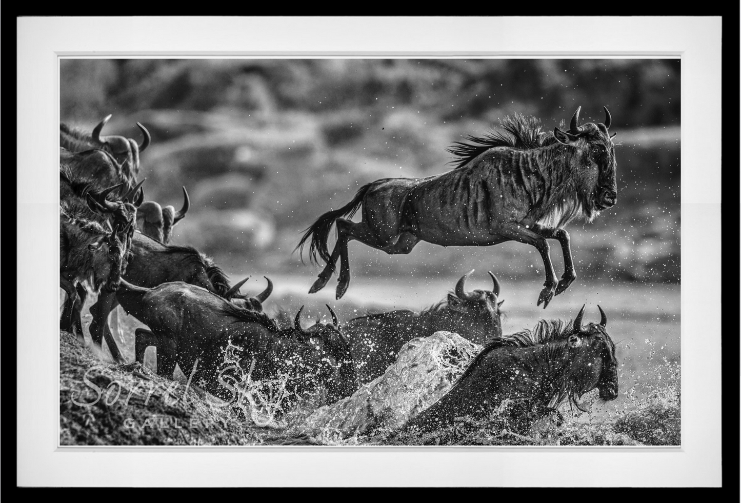 Traffic-Photographic Print-David Yarrow-Sorrel Sky Gallery