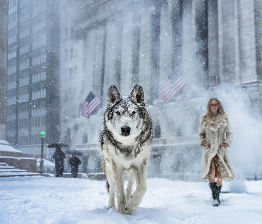 WALL STREET STORIES ~ Colour-Photographic Print-David Yarrow-Sorrel Sky Gallery