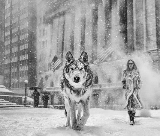 WALL STREET STORIES-Photographic Print-David Yarrow-Sorrel Sky Gallery