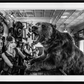 WHERE'S MY LUNCH? LAST ORDERS II-Photographic Print-David Yarrow-Sorrel Sky Gallery