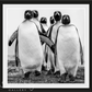 WISE GUYS-Photographic Print-David Yarrow-Sorrel Sky Gallery