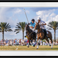 Wellington (Color)-Photographic Print-David Yarrow-Sorrel Sky Gallery