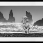 White Horses-Photographic Print-David Yarrow-Sorrel Sky Gallery