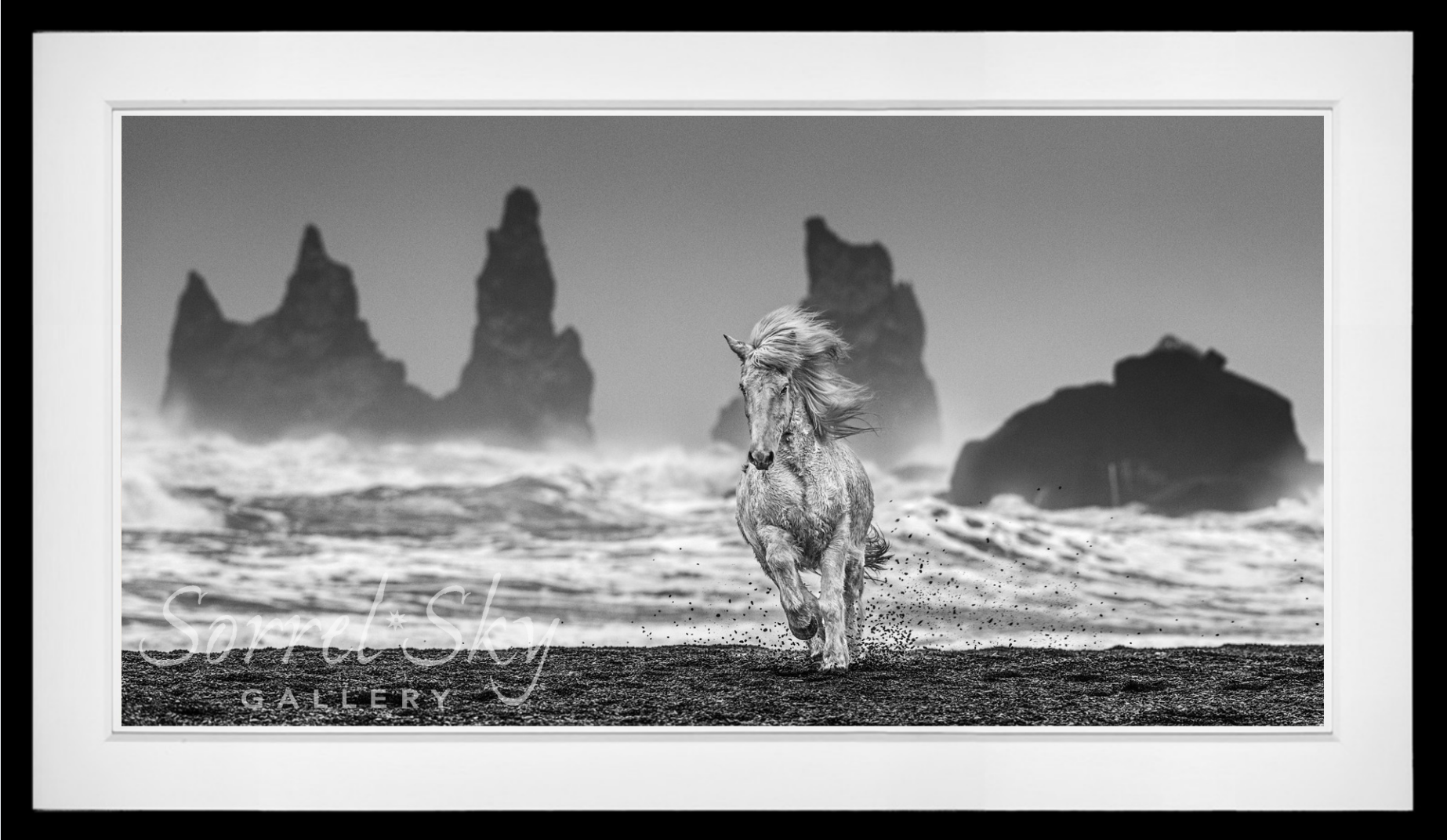 White Horses-Photographic Print-David Yarrow-Sorrel Sky Gallery