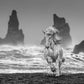 White Horses-Photographic Print-David Yarrow-Sorrel Sky Gallery