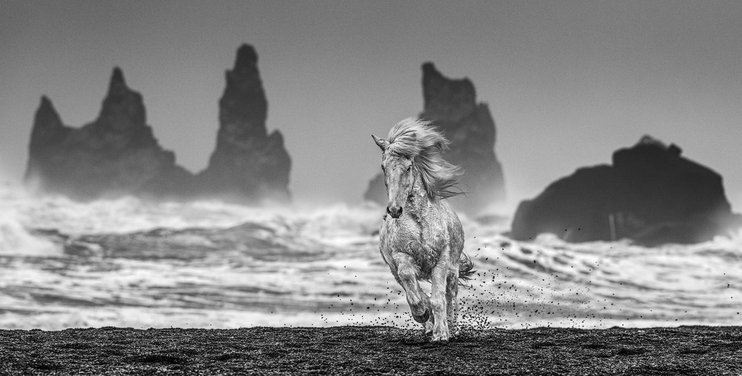 White Horses-Photographic Print-David Yarrow-Sorrel Sky Gallery