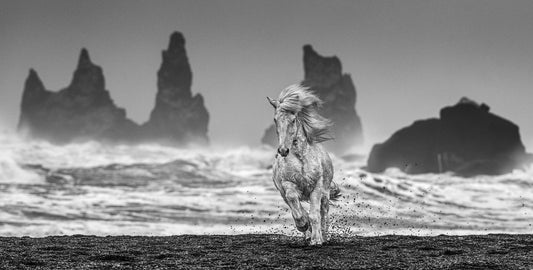 White Horses-Photographic Print-David Yarrow-Sorrel Sky Gallery