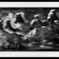 White Rush-Photographic Print-David Yarrow-Sorrel Sky Gallery