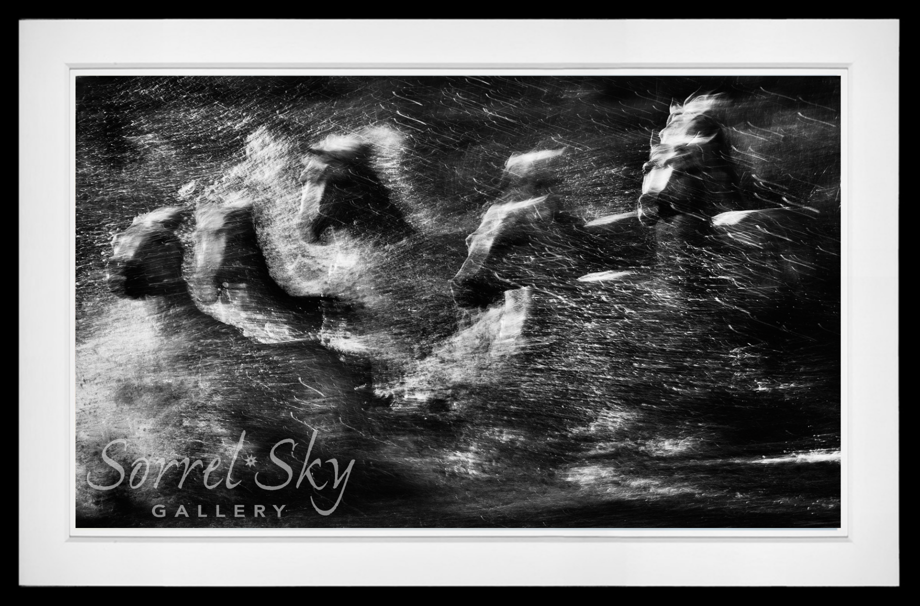 White Rush-Photographic Print-David Yarrow-Sorrel Sky Gallery