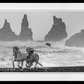 Wild Horses-Photographic Print-David Yarrow-Sorrel Sky Gallery