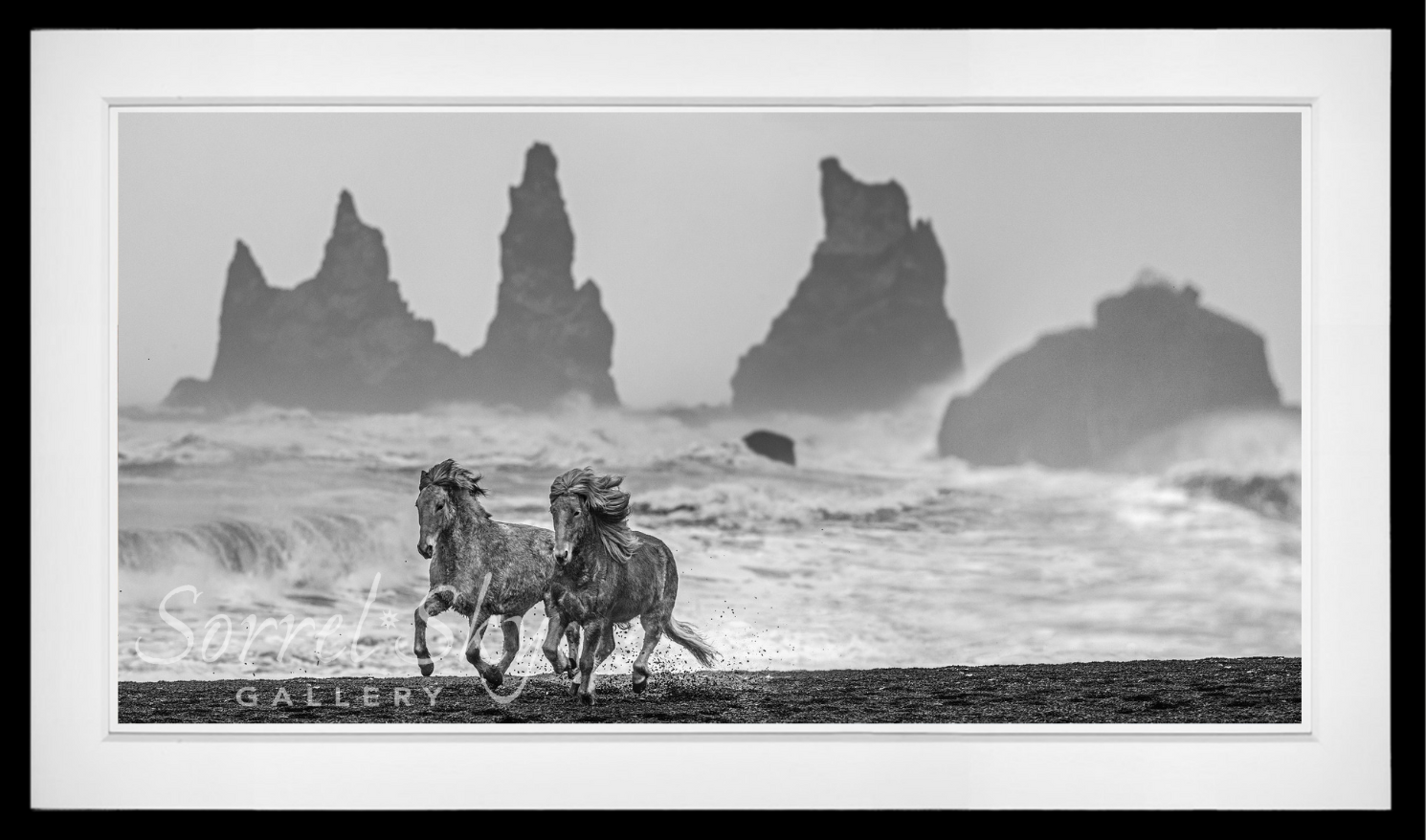 Wild Horses-Photographic Print-David Yarrow-Sorrel Sky Gallery