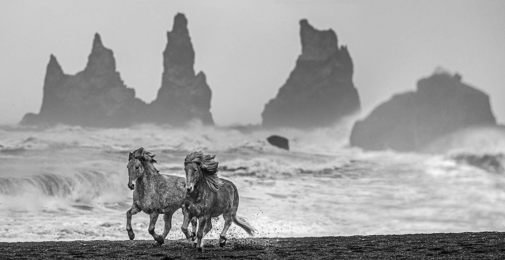 Wild Horses-Photographic Print-David Yarrow-Sorrel Sky Gallery