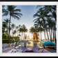 Worth Avenue (Color)-Photographic Print-David Yarrow-Sorrel Sky Gallery