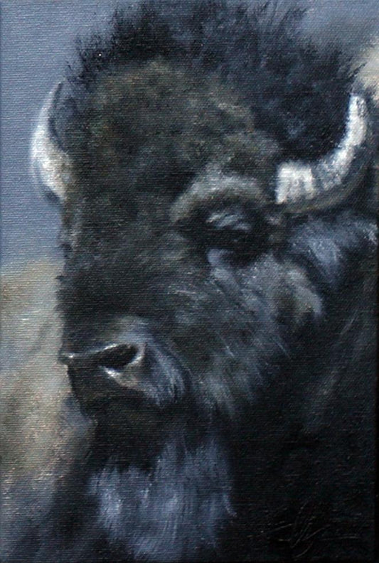 Bison Study - Dark-Painting-Doyle Hostetler-Sorrel Sky Gallery