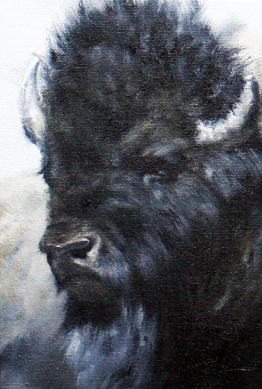 Bison Study - Light-Painting-Doyle Hostetler-Sorrel Sky Gallery