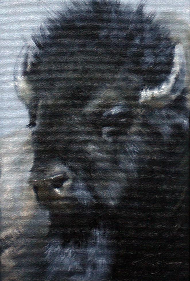 Bison Study - Medium-Painting-Doyle Hostetler-Sorrel Sky Gallery