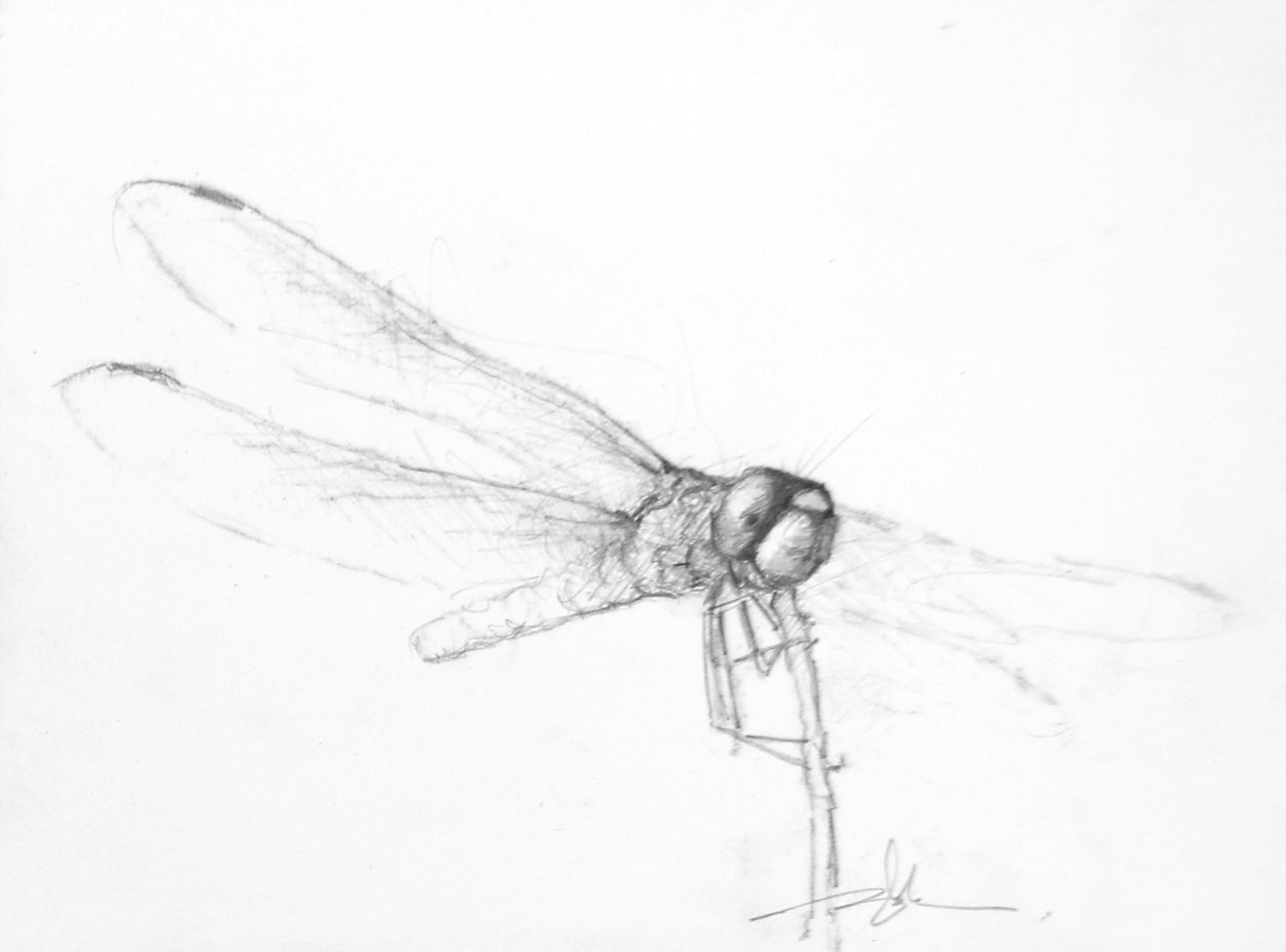 Dragonfly Study II-Painting-Doyle Hostetler-Sorrel Sky Gallery