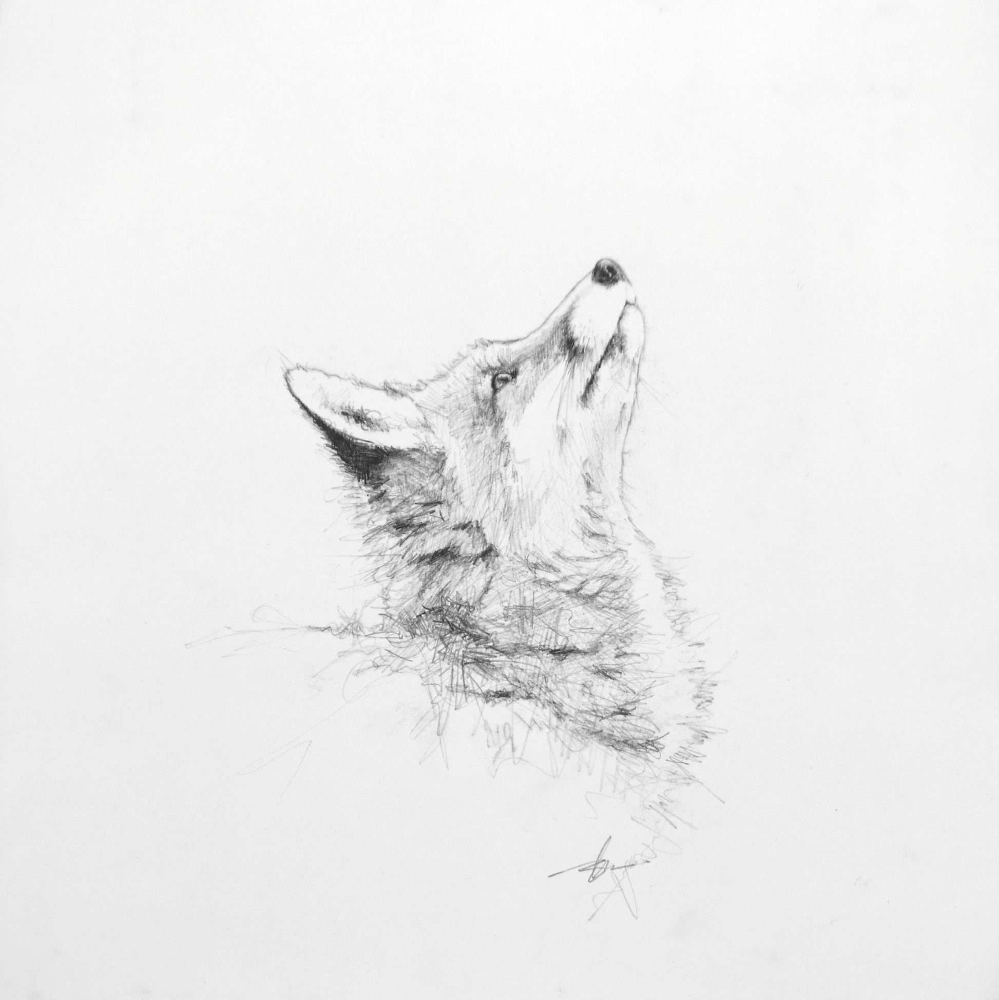 The Squirrel-Painting-Doyle Hostetler-Sorrel Sky Gallery