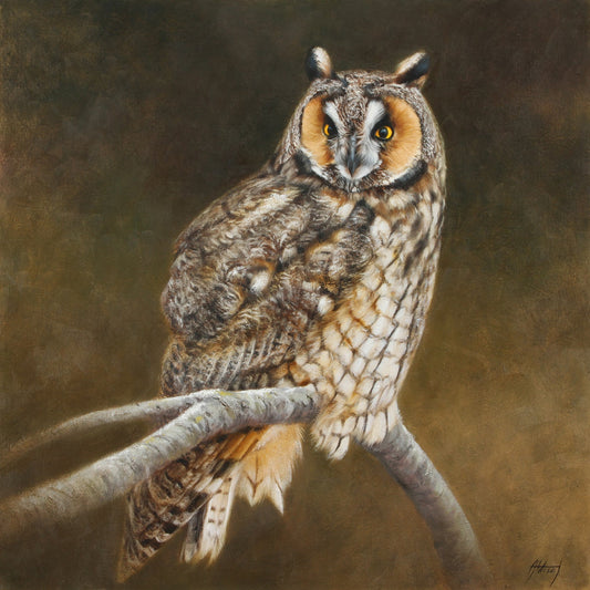 Long Eared Owl-Painting-Edward Aldrich-Sorrel Sky Gallery