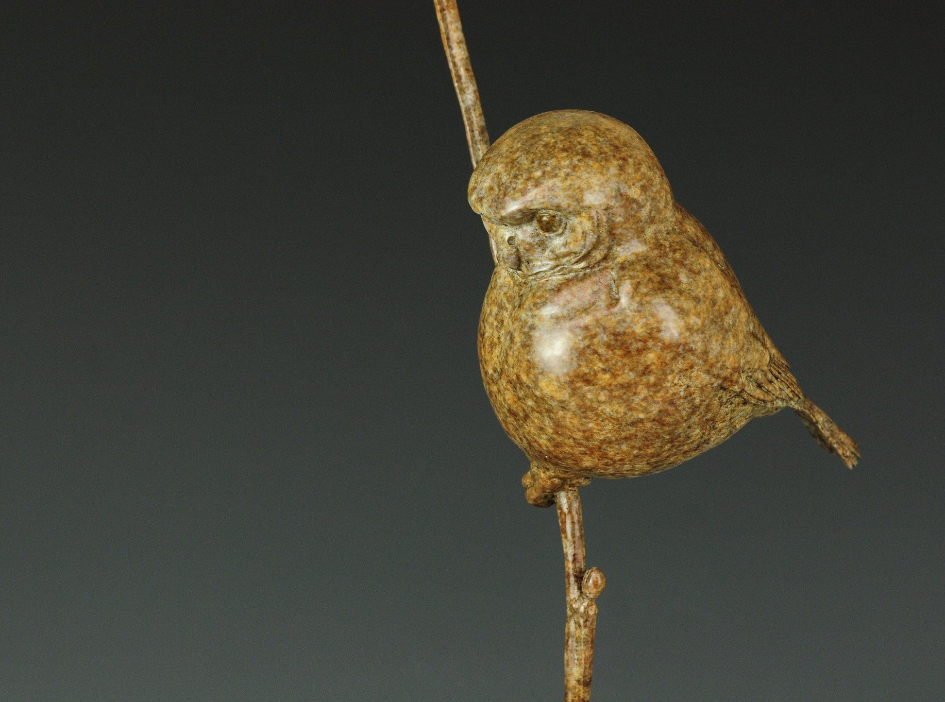 Pygmy Owl-Sculpture-Jeremy Bradshaw-Sorrel Sky Gallery