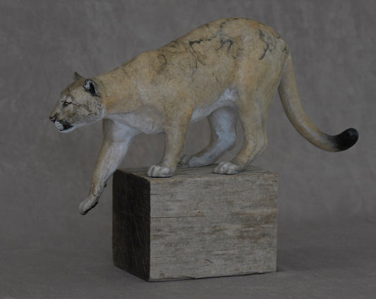 Cougar I