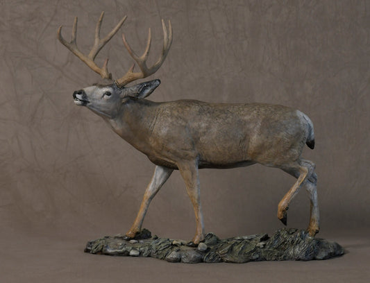 Mule Deer Buck "Attraction" (maquette)-Sculpture-Jim Eppler-Sorrel Sky Gallery
