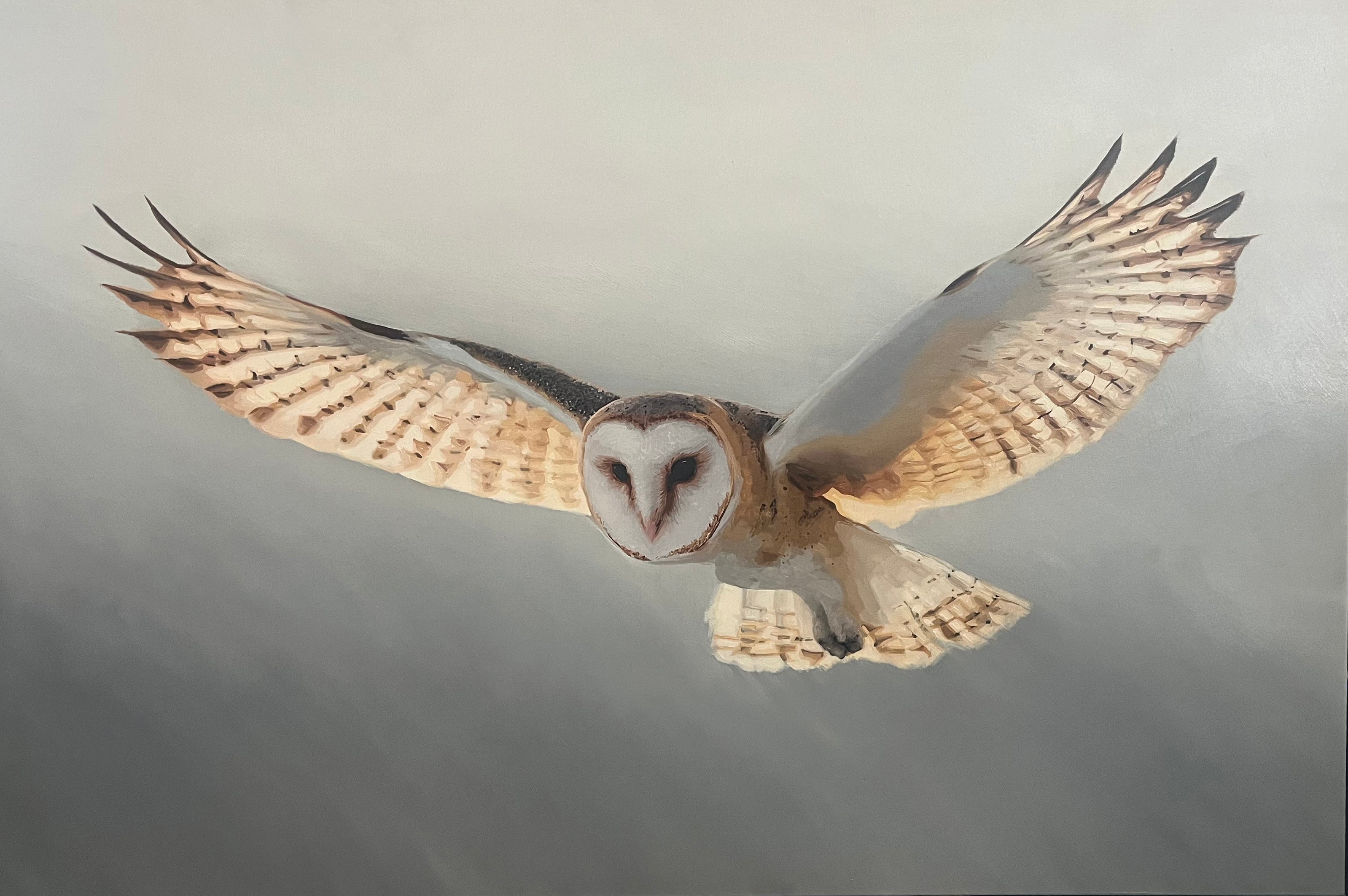 Owl In Flight Inlay Barn Owl Flying – Sorrel Sky Gallery