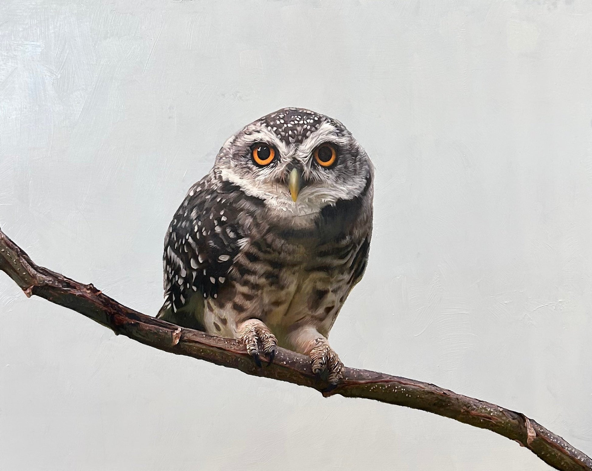 Owl II-Painting-Matthew Grant-Sorrel Sky Gallery
