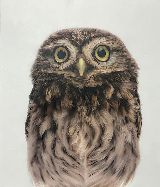 Owl-Painting-Matthew Grant-Sorrel Sky Gallery