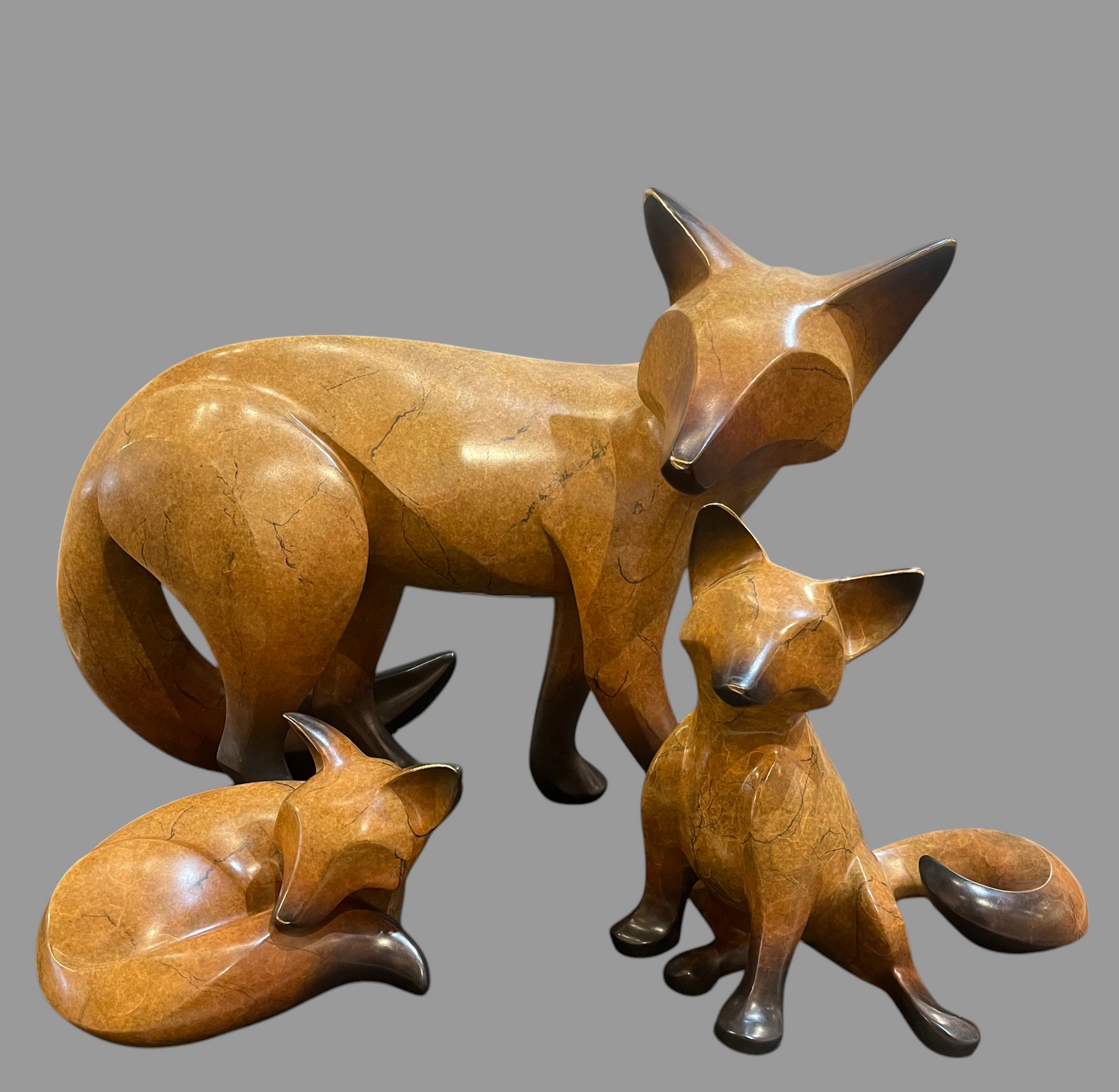 Lifesize Fox