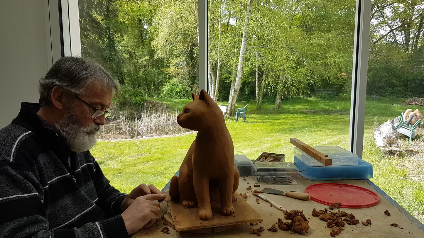 Cat's Tooth | La Dent du Chat