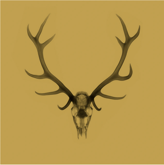 Antlers Gold-Photographic Print-Nick Veasey-Sorrel Sky Gallery