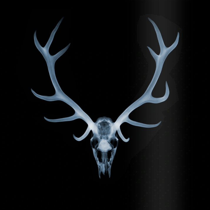 Antlers-Photographic Print-Nick Veasey-Sorrel Sky Gallery