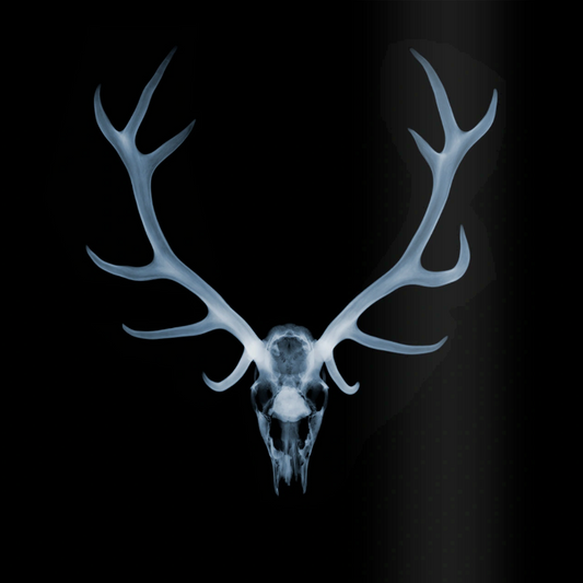 Antlers-Photographic Print-Nick Veasey-Sorrel Sky Gallery