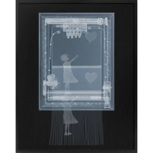 BanXsy Caveat Emptor-Photographic Print-Nick Veasey-Sorrel Sky Gallery