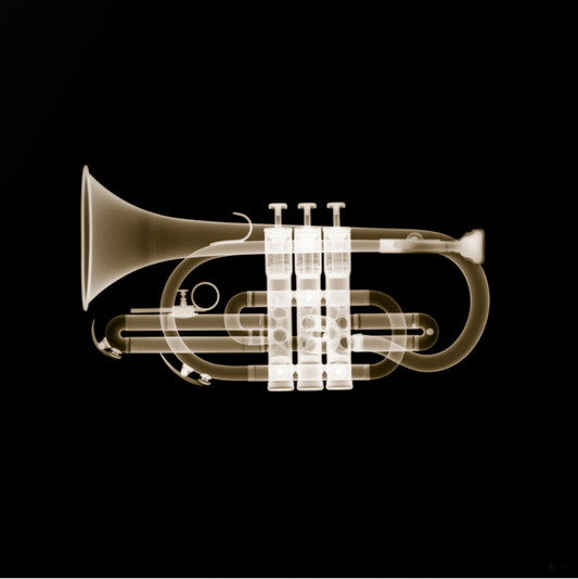 Brass Cornet-Photographic Print-Nick Veasey-Sorrel Sky Gallery