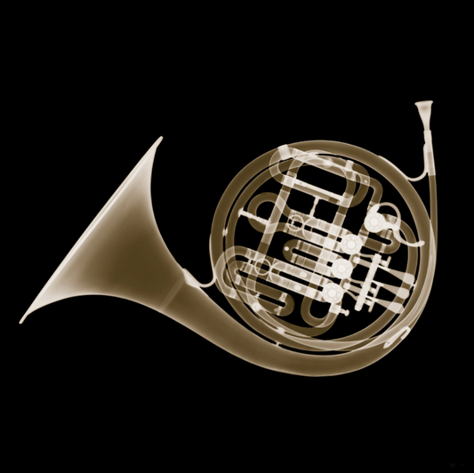 Brass French Horn-Photographic Print-Nick Veasey-Sorrel Sky Gallery