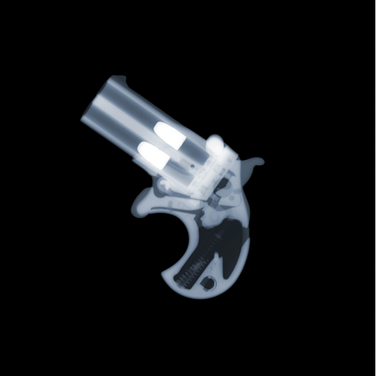 Derringer-Photographic Print-Nick Veasey-Sorrel Sky Gallery